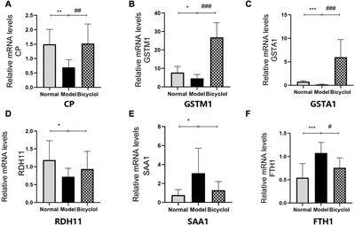 Bicyclol attenuates high fat diet-induced non-alcoholic fatty liver disease/non-alcoholic steatohepatitis through modulating multiple pathways in mice 